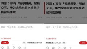 新闻动态
