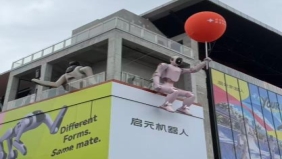 新闻动态